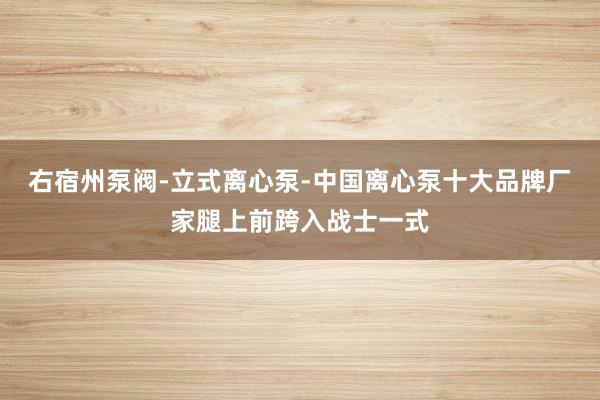 右宿州泵阀-立式离心泵-中国离心泵十大品牌厂家腿上前跨入战士一式