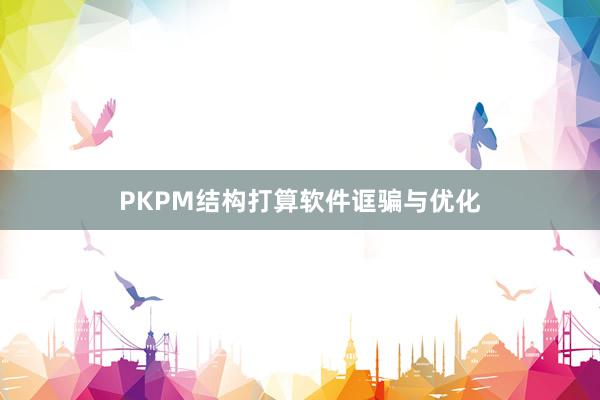 PKPM结构打算软件诓骗与优化